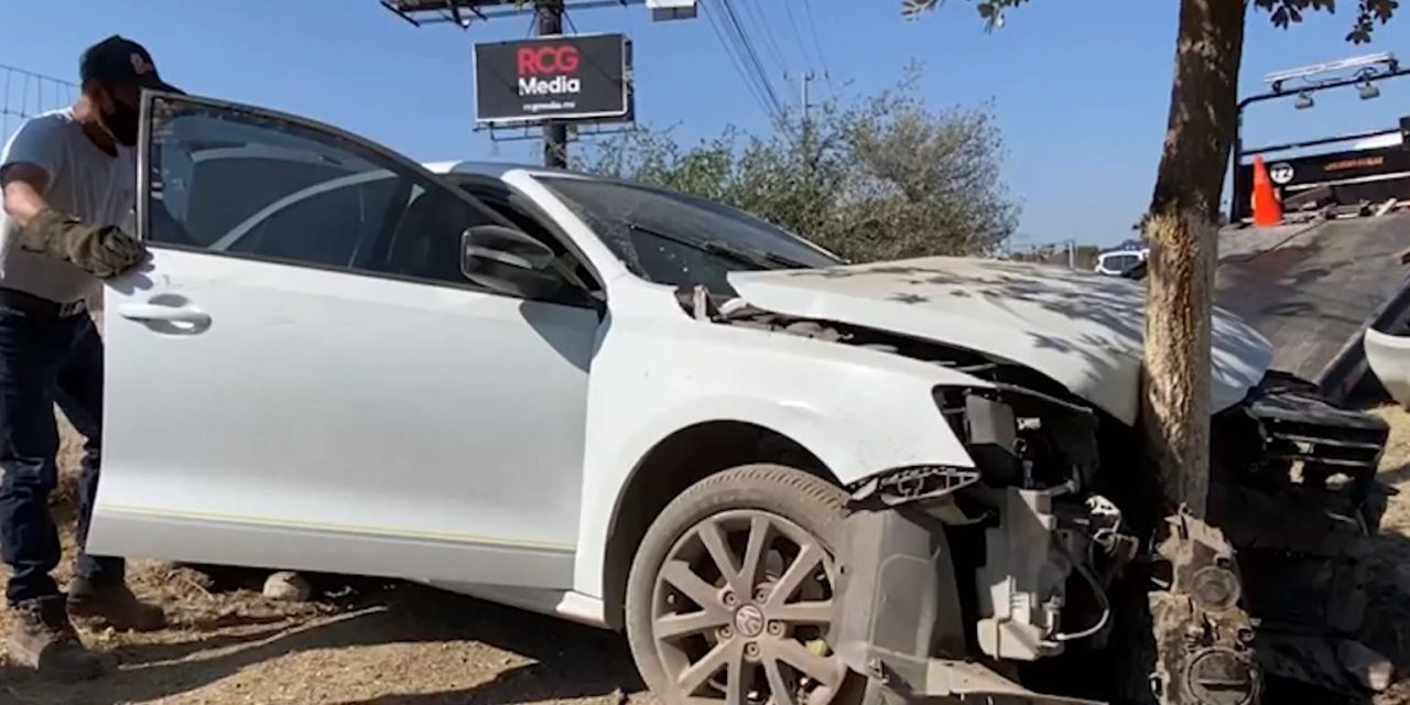 Conductora choca y derriba árboles en la Saltillo-Monterrey