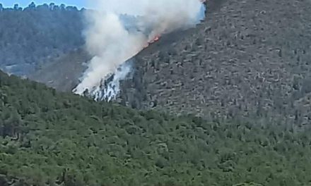 Atiende Arteaga incendio en la Carbonera; evitan propagación
