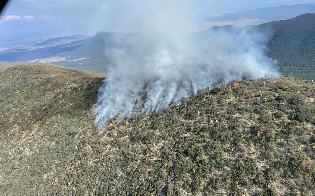 Amenaza incendio la Sierra de Arteaga, Coahuila