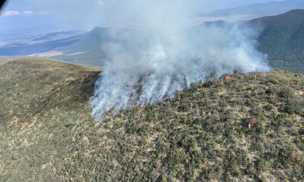 Amenaza incendio la Sierra de Arteaga, Coahuila