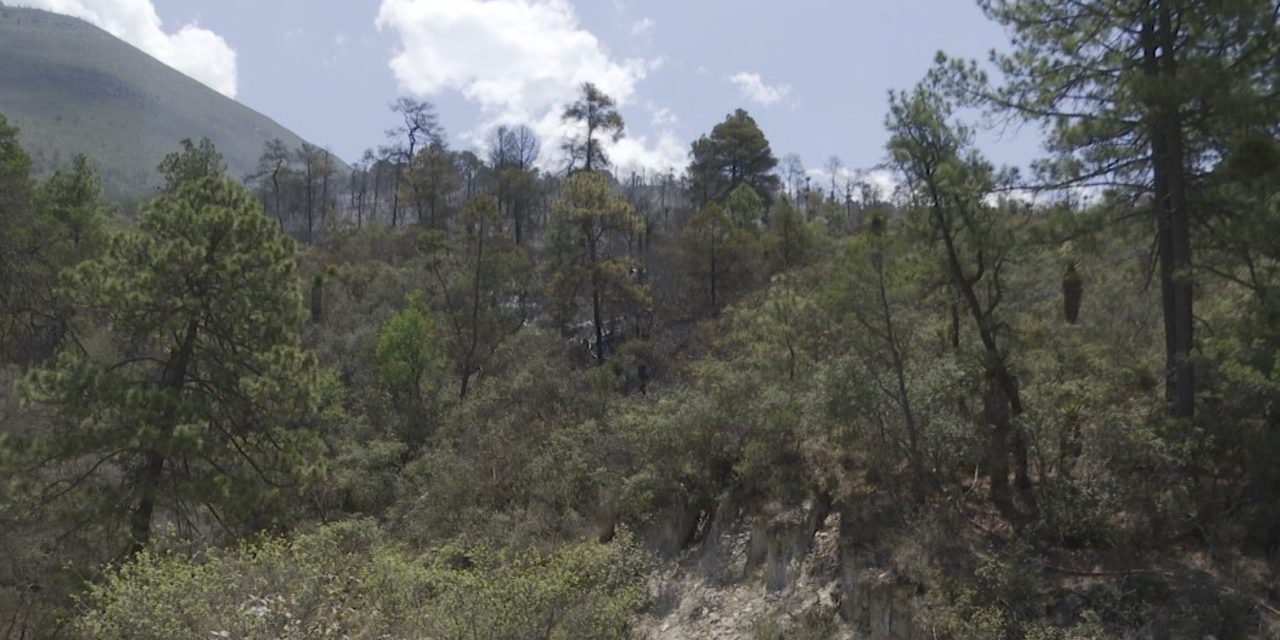 Controlan incendio en La Escondida en Arteaga