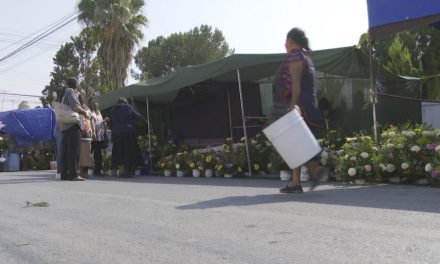 Mamás se quedan sin flores; hubo poca venta en Ramos