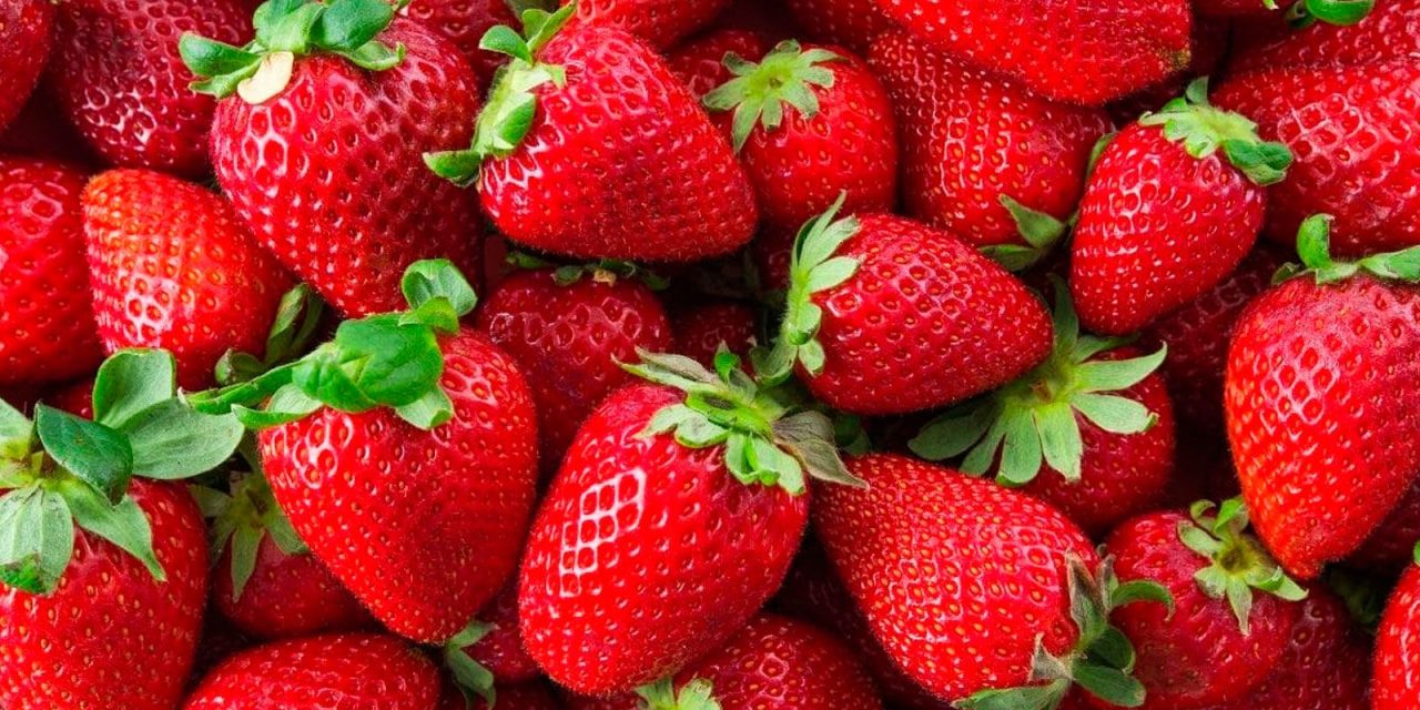 Fresas cultivadas en México provocan 27 casos de hepatitis en EU y Canadá