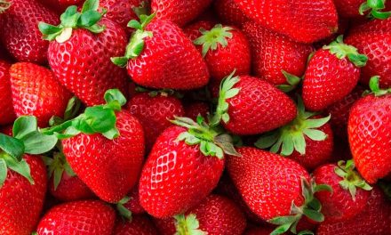 Fresas cultivadas en México provocan 27 casos de hepatitis en EU y Canadá