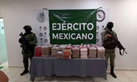 Decomisan 250 kilos de cocaína en Allende, Nuevo León
