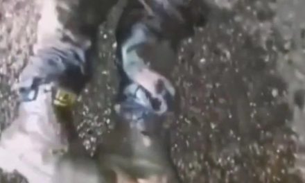 Presuntos miembros del CJNG cazan y queman vivo a un sicario del ‘Mayo Zambada (video)