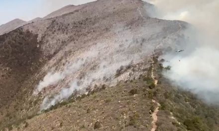 Invita Diócesis de Saltillo a orar por lluvia para sofocar incendios forestales