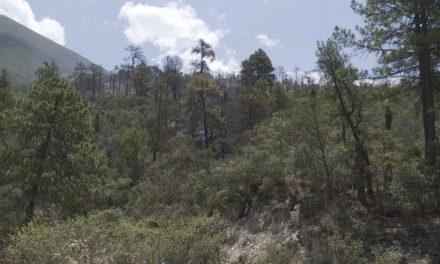 Arteaga: Incendio en La Escondida pudo ser provocado