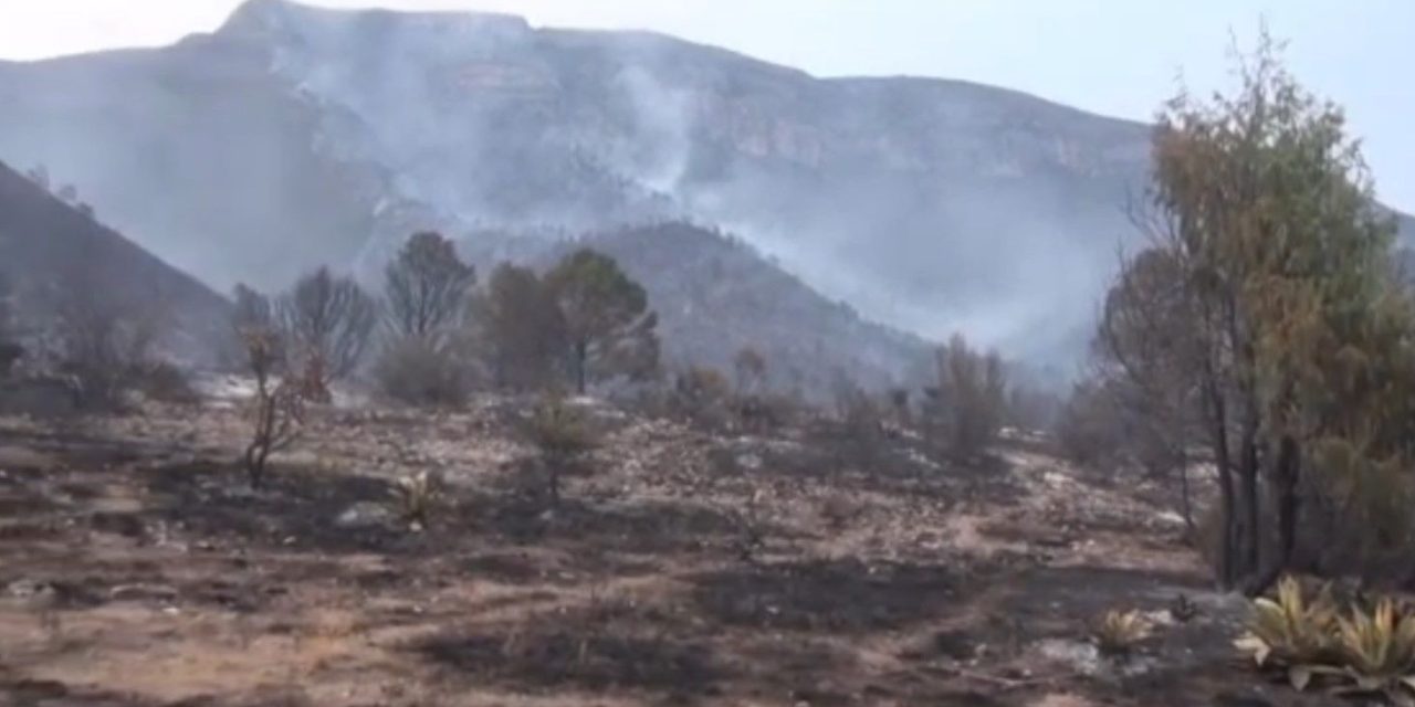 Fuerte incendio se registra en la sierra entre los límites de General Cepeda y Parras