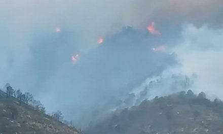 Desesperados: Pobladores de General Cepeda piden apoyo para combatir incendio
