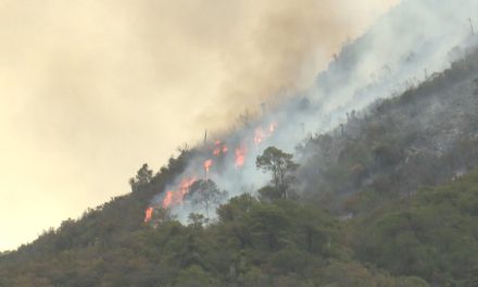 Se mantienen 7 incendios forestales activos en Coahuila
