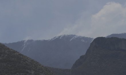 Continúa el combate a los incendios en Coahuila
