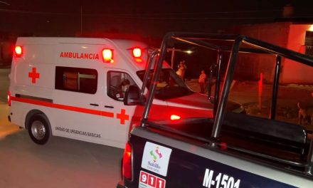 Abuelito de 90 años muere tras sufrir aparatosa caída de una palmera en Saltillo