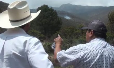 Alcalde de Parras visita la zona afectada del incendio