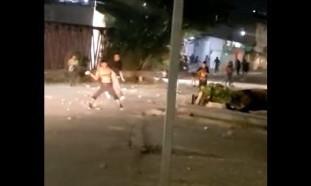 Se viraliza pelea entre Gavilanes y la Guerrilla en Saltillo