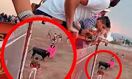Toro escapa de plaza y embiste a 4 personas en Hidalgo
