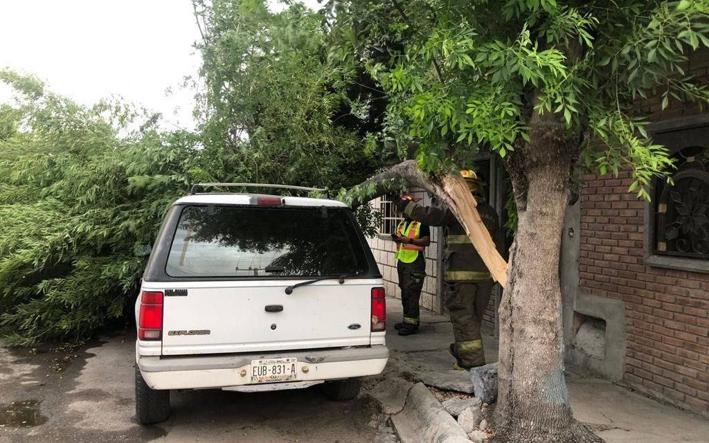 Protección Civil atiende reportes ante fuertes vientos en Saltillo