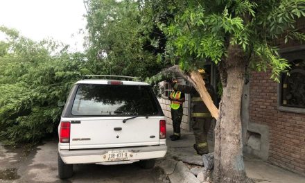 Protección Civil atiende reportes ante fuertes vientos en Saltillo