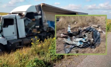 Se vuelca tráiler con 4 toneladas de cadáveres de perros y gatos en Tamaulipas