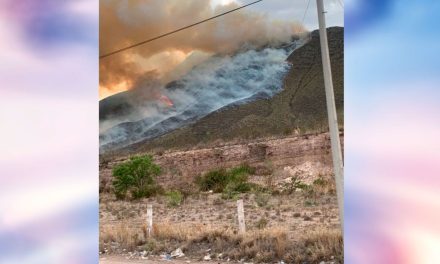 Más de 200 hectáreas afectadas tras incendio en La Muralla