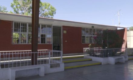 Falso el caso de garrapatas en escuela de Ramos Arizpe