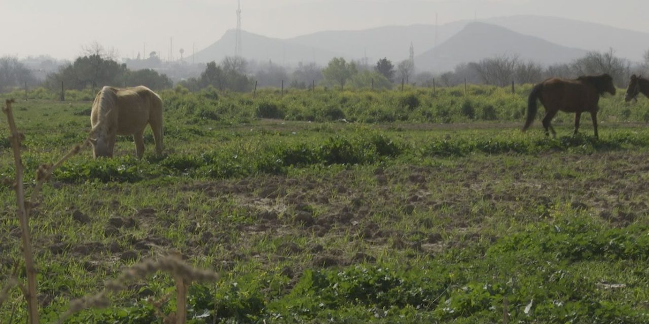 Abandona gobierno federal a Coahuila