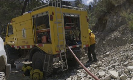 Brigadistas controlan los brotes de incendios en Arteaga