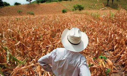 Se asoma crisis alimentaria para Coahuila