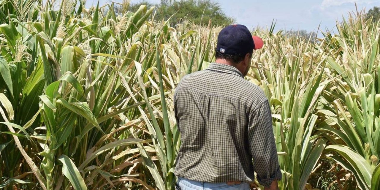 Engaña 4T a campesinos coahuilenses con supuesta entrega de apoyos