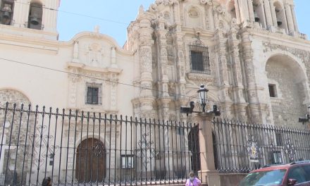 Saltillo: Abejas que atacaron a feligreses en Catedral se niegan a morir