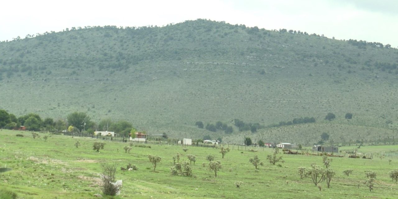 Pega a productores de Coahuila sequía e inflación