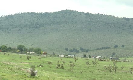 Pega a productores de Coahuila sequía e inflación