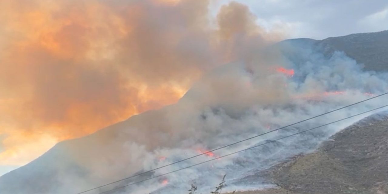 Incendios forestales no dan tregua, controlan dos, pero inician tres más