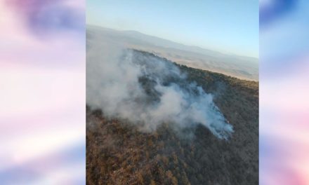 Arteaga combate incendio forestal en Las Esperanzas