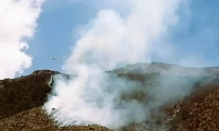 Atiende helicóptero otro incendio en sierra de Zapalinamé de Saltillo (video)