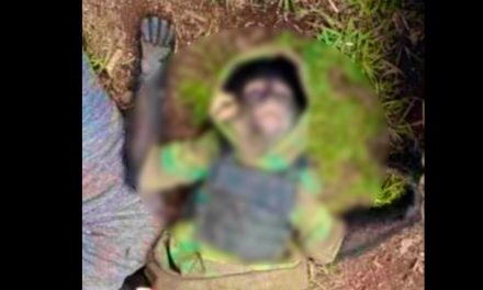 Hallan a monito vestido de sicario entre los 11 abatidos en balacera del Edomex