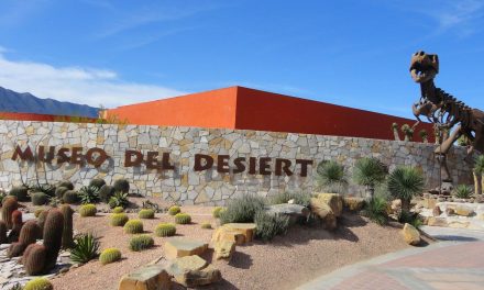 Tendrá Museo del Desierto noche de linternas
