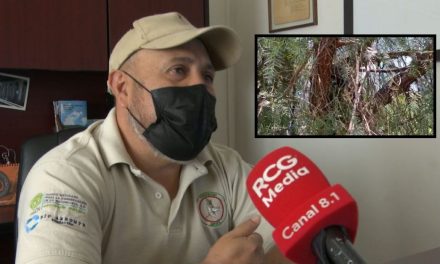 ¡Mira, un oso! Incrementan 20 por ciento avistamientos cerca de sierra de Saltillo