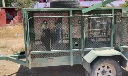 Capturan un oso en colonia Lomas de Lourdes de Saltillo