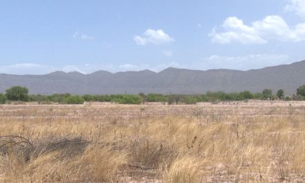 Piden estado de emergencia por sequía para Coahuila