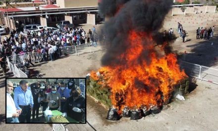 Destruye gobierno de Coahuila más de tres toneladas de droga