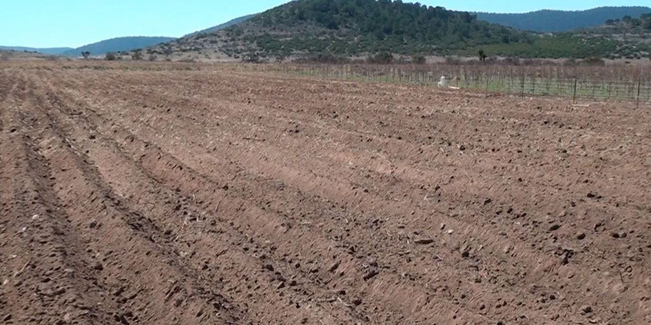 Pedirán a constructoras saltillenses reforestar