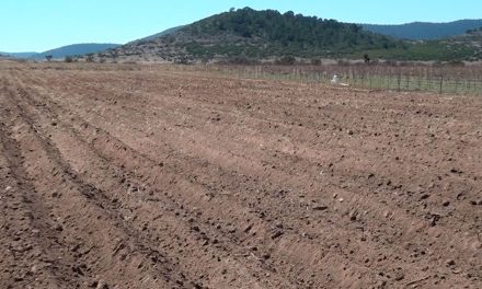 Pedirán a constructoras saltillenses reforestar