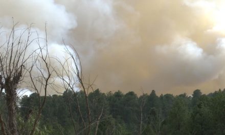 SEMA analizará zonas de incendio para reforestación en Coahuila