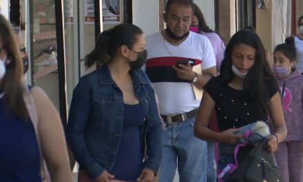 Llegará recurso federal para refugios de mujeres en Saltillo