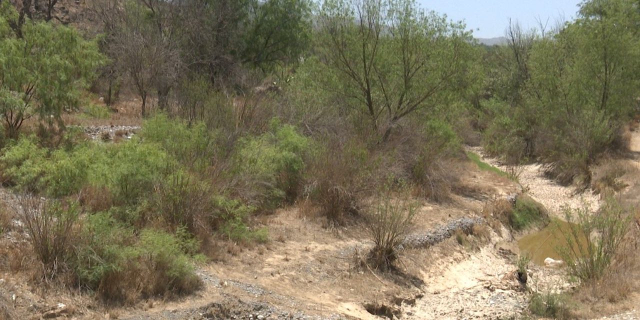 Piden estado de emergencia para Coahuila por intensa sequía