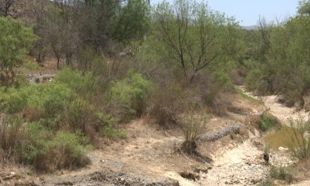 Piden estado de emergencia para Coahuila por intensa sequía