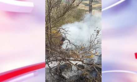 Atienden autoridades incendio en El Tunal en Arteaga