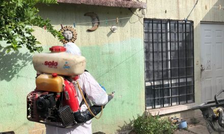 Mantienen acciones sanitarias en colonias de Torreón