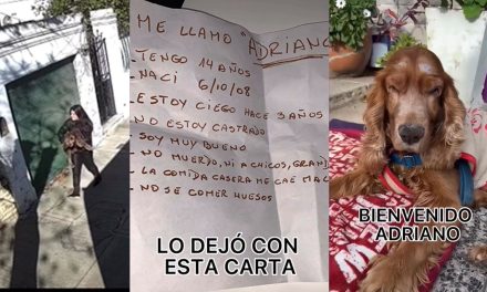 Adriano; perrito ciego y anciano es abandonado por su dueña, lo aventó en un patio (video)